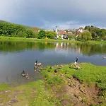 Im Springerhof Lohr