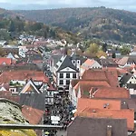 Im Springerhof شقة