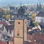 Im Springerhof شقة *