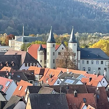Daire Im Springerhof Lohr