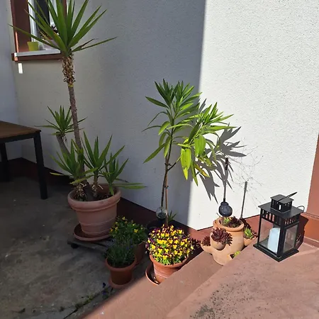 Im Springerhof Lohr