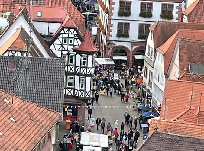 Im Springerhof Lohr