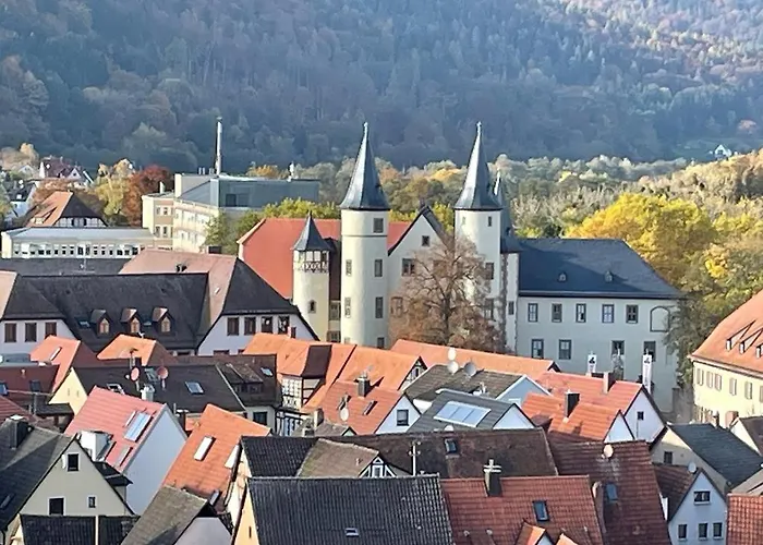 Appartement Im Springerhof Lohr
