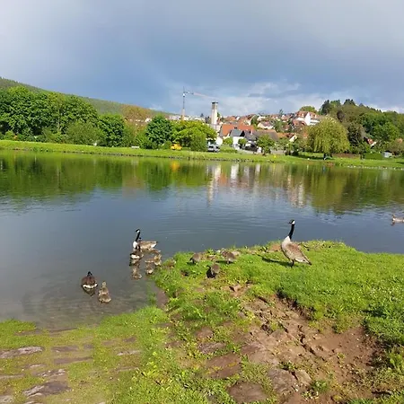 Im Springerhof Lohr