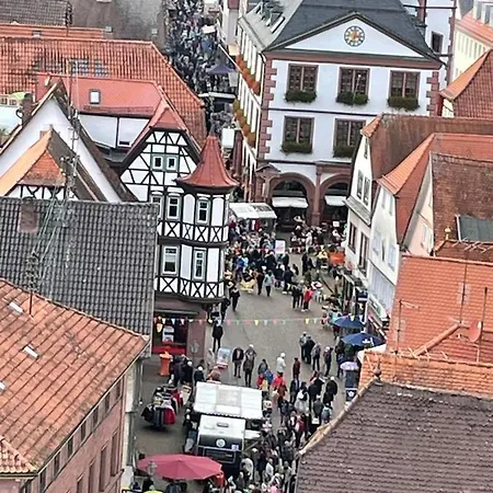 Im Springerhof Lohr