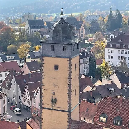 Im Springerhof شقة *