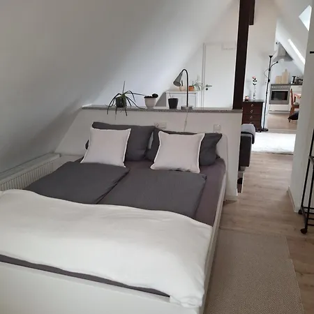 Im Springerhof Lohr