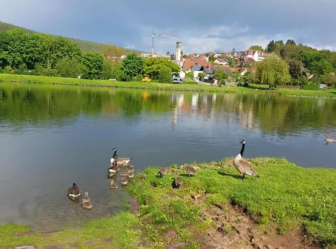 Im Springerhof Lohr