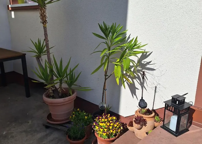 Im Springerhof Lohr